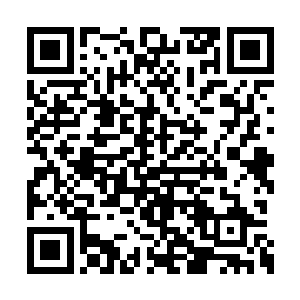 巨痛一下子就从黑衣青年的胸口传遍了他的全身二维码生成