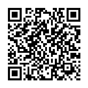 巨蟒眸光阴冷地看着面前这只奇怪的双足站立的渺小生物二维码生成