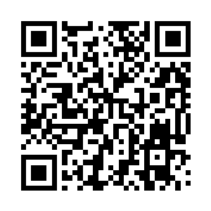 巨龙直直的撞在了百木鼎那看似极小二维码生成