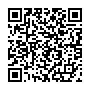 巫师们还曾经在海底和火山口发现过这种植物的踪迹二维码生成