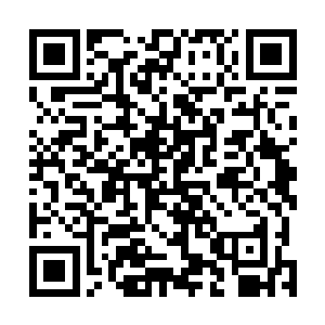 巫牛部的骑兵队伍在阿虎的带领下围绕着巨树不断地转动二维码生成