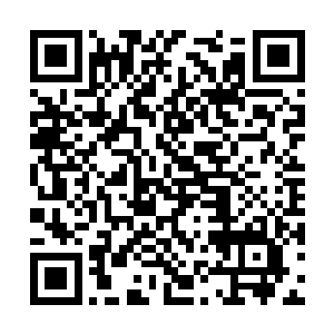 巫离也没有想到会在此处遇见这个大名鼎鼎的焚月二维码生成