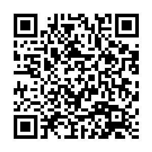 已将讨论的焦点放在了觉哥那句没有什么实质意义的狂语之上二维码生成