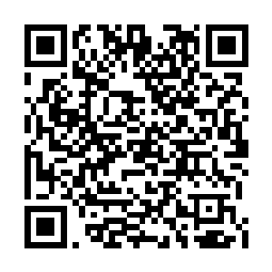 已就坐的学生都在聚精会神地观看有道的宣传片二维码生成