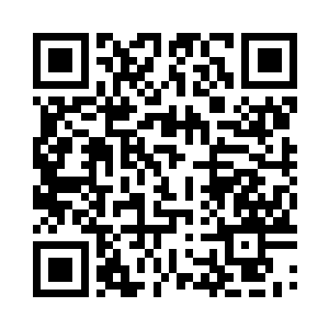 已然是化龙层次的雷龙诀外加上四重血脉之力二维码生成