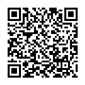 已经不是十年前那可以任所有圣皇不屑一顾的圣王了二维码生成