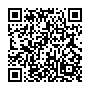 已经不是单纯的靠你工作努力那么简单就能有所收获了二维码生成
