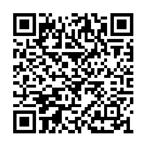 已经不能够和一个活着的圣级九层后期巅峰相比二维码生成