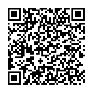 已经习惯了冒险团规则的他们怎么可能在心中立刻接受这种新的规则二维码生成