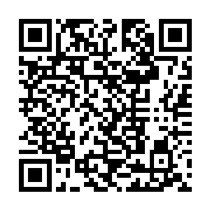 已经买了筹码的客人请立即去四大赌坊凭票换回赌资二维码生成