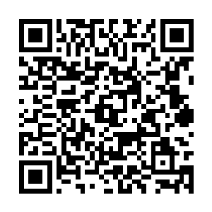 已经准备好攻击的那道身影直接的捂住了自己的头二维码生成