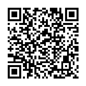 已经到了不得不奋力一搏的云星坠此刻也管不了那么多了二维码生成