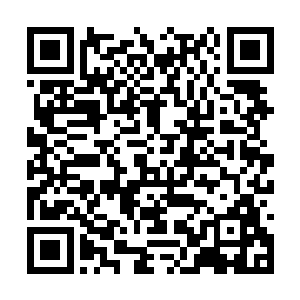 已经化为一头无情无义没有任何人性的冷血猛兽了二维码生成