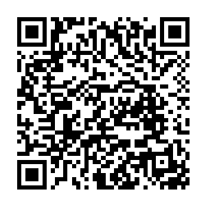 已经占领了加那利群岛并变成radam树的怪兽们再次繁殖出了一大群radam二维码生成