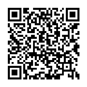已经在诸多事情之中明白了这个世界的生存法则二维码生成