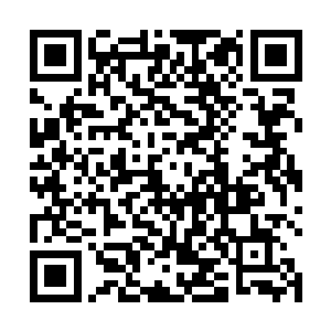 已经如同强弩之末的愤怒也再也把持不住手中的盘古幡二维码生成