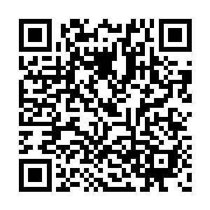 已经对外面三族的帅级修士心神造成了很大打击二维码生成