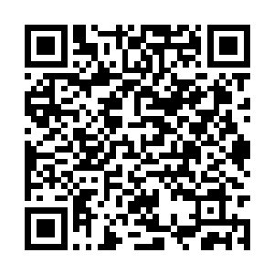 已经将刑天五花大绑的花伯顿时朝着白子河询问道二维码生成