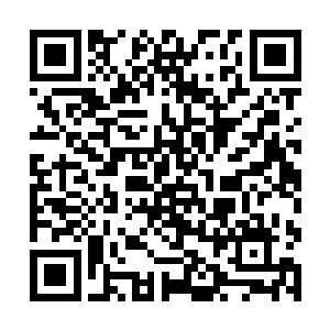 已经将半步皇级凝血丹给鲸鲨海兽喂下了整整十瓶啊二维码生成