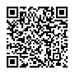 已经将灵气的储备达到了结丹期第十层后期巅峰的水准二维码生成