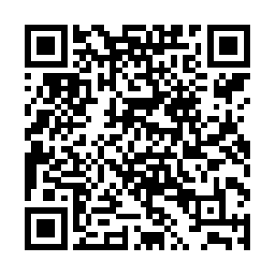 已经彻底被二货带上贪心之路的叶笑不赶紧收拾东西二维码生成