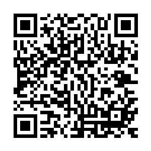 已经搜索了几个营帐的猴子躲在营地中帐篷的阴影下抬头仰望二维码生成