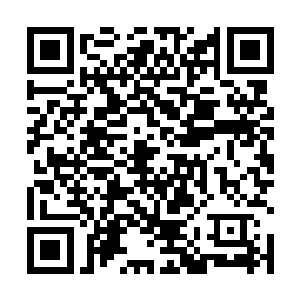 已经无人能飞升成功了怎么天一道的飞升了很多修士么二维码生成