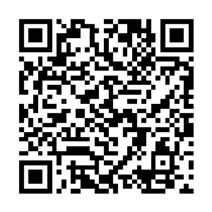 已经是身在天洲大陆的那处地下洞窟之内的传送阵上二维码生成