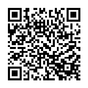 已经有不少无法进入天妖山参加庆贺的散修之士聚集于此二维码生成