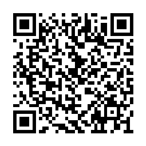 已经有些扭曲了这位独角兽家族继承人的世界观二维码生成