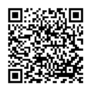 已经有越来越多的女生开始尝试和男生组合成固定的试炼队伍二维码生成