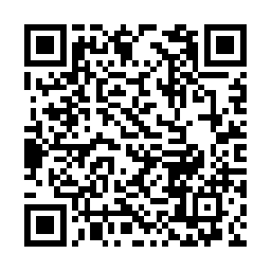 已经正式进入到了铁围山的一环山脉的核心区域内二维码生成