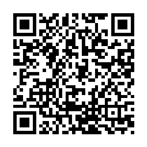 已经渐渐淡忘了刚才林烽节目被跳过去的事情了二维码生成