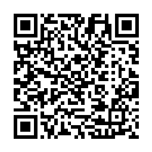 已经由上元盟的石中玉挑选了一批高手进入了仙主宫二维码生成