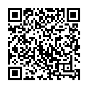 已经确定定档7月15日世界杯闭幕式结束之后的第三天的二维码生成