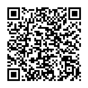 已经确立了要以发展现代农业以及相关配套加工业为核心这一主导思想二维码生成