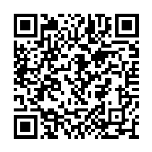 已经约好了今天早上开始抓我的天一道来批判呢二维码生成