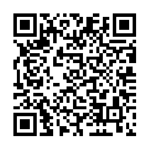 已经被保镖护送到保姆车边的薛子轩回过头坦诚开口二维码生成