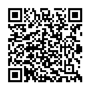 已经被倪道溪手中阵旗喷射而出的青虹消融殆尽二维码生成