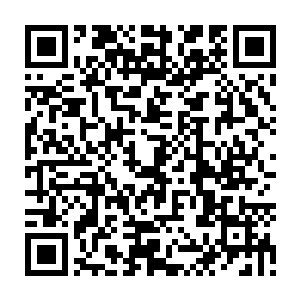 已经被判处死刑执行枪决了的犯罪嫌疑人梁国庆背后应该还有幕后指使人二维码生成