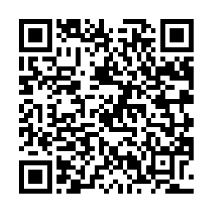 已经被大力风暴旋转所带起的云雾笼罩了将近四分之一二维码生成