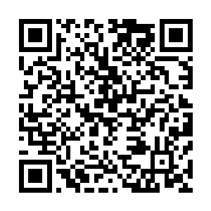 已经被怒气逼的发疯的木木抡起手里的石刀向两个人劈过来二维码生成
