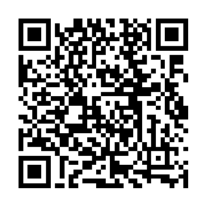 已经被这股仙帝强者的杀意化作的利剑击成了粉碎二维码生成