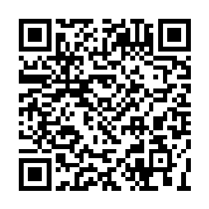 已经让四十人在坐的几个天才女修心中暗暗倾心二维码生成