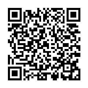 已经走在前面的吴虎臣听到白淑倩略带娇嗔的喊住了自己二维码生成