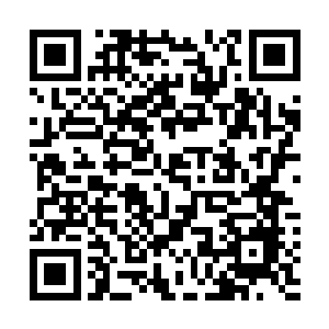 已经超过了一个以侯爵级功法进阶黑铁大圆满骑士的实力二维码生成