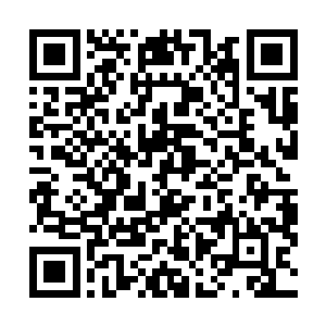 已经遇到了好几个能给自己带来威胁的半步神通境强者了二维码生成