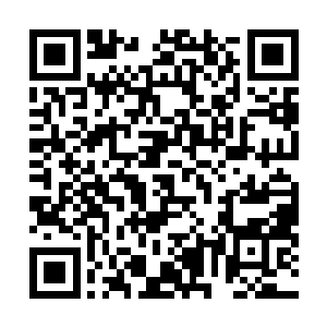 已经陆陆续续有媒体开始明示暗指地把矛头对准了特蕾西二维码生成