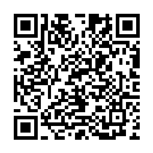 已经顾不上考虑这些僵尸们从地底逃出去会带来怎么样的危害了二维码生成