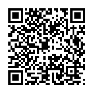 已被杨开揍出心理阴影的三人都下意识地肌肤一寒二维码生成